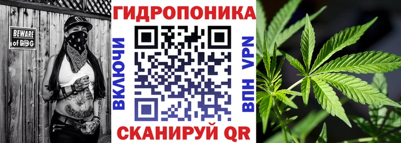 Конопля SATIVA & INDICA  Лесозаводск 